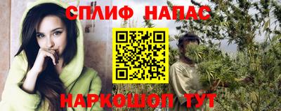 ПСИЛОЦИБИНОВЫЕ ГРИБЫ Новозыбков