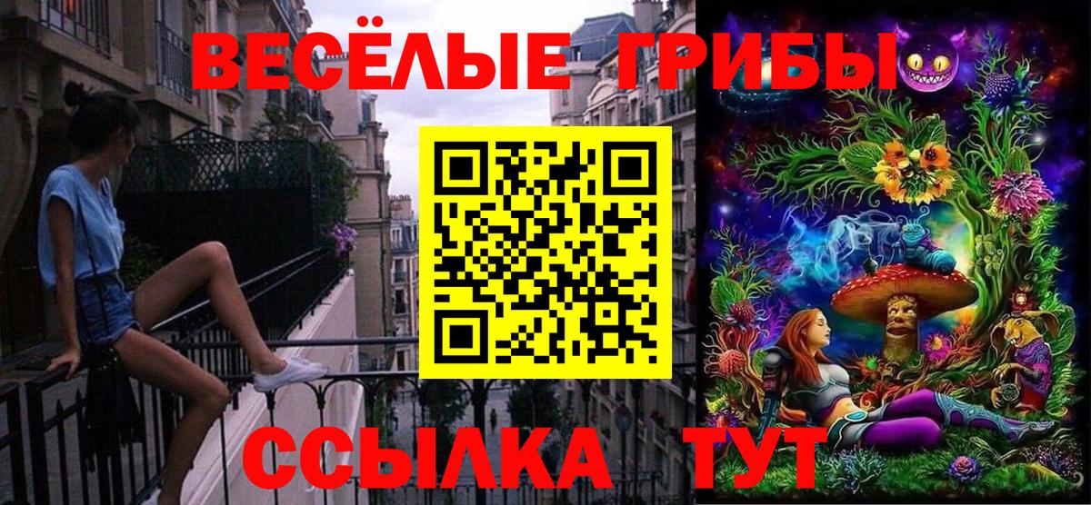 Саяногорск  где продают   Вход с VPN  Галлюциногенные грибы MAGIC MUSHROOMS 